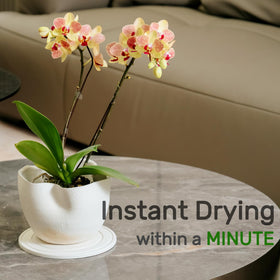 Relime plant saucer close-up shows absorbent stone texture enhancing indoor plant drainage