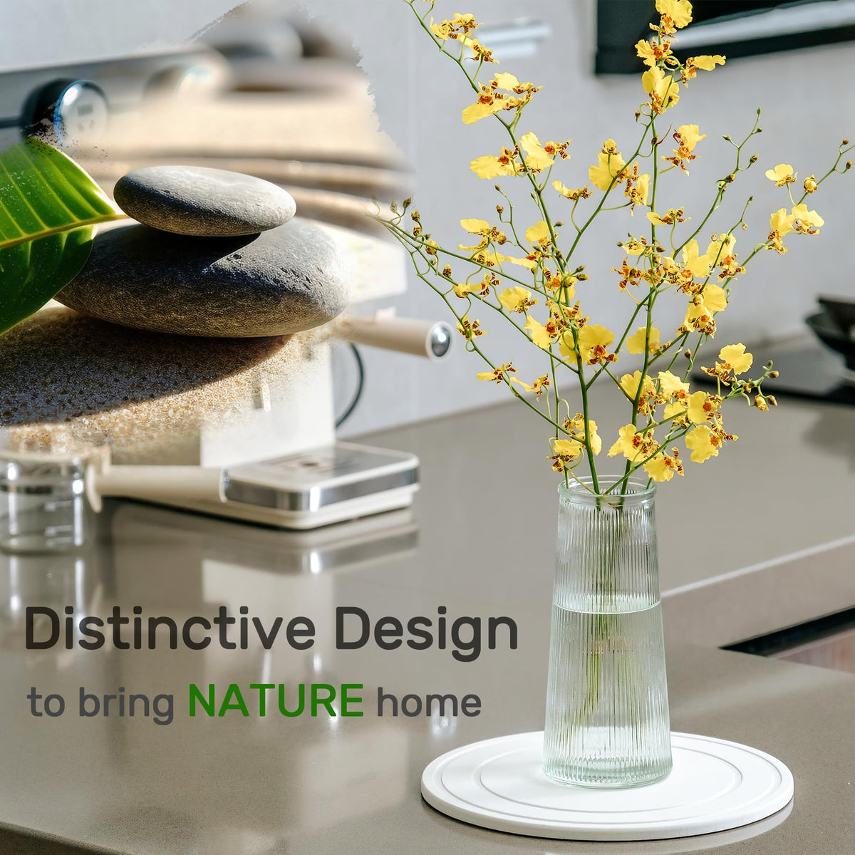 Relime diatomaceous earth saucer decorative natural look complements home décor