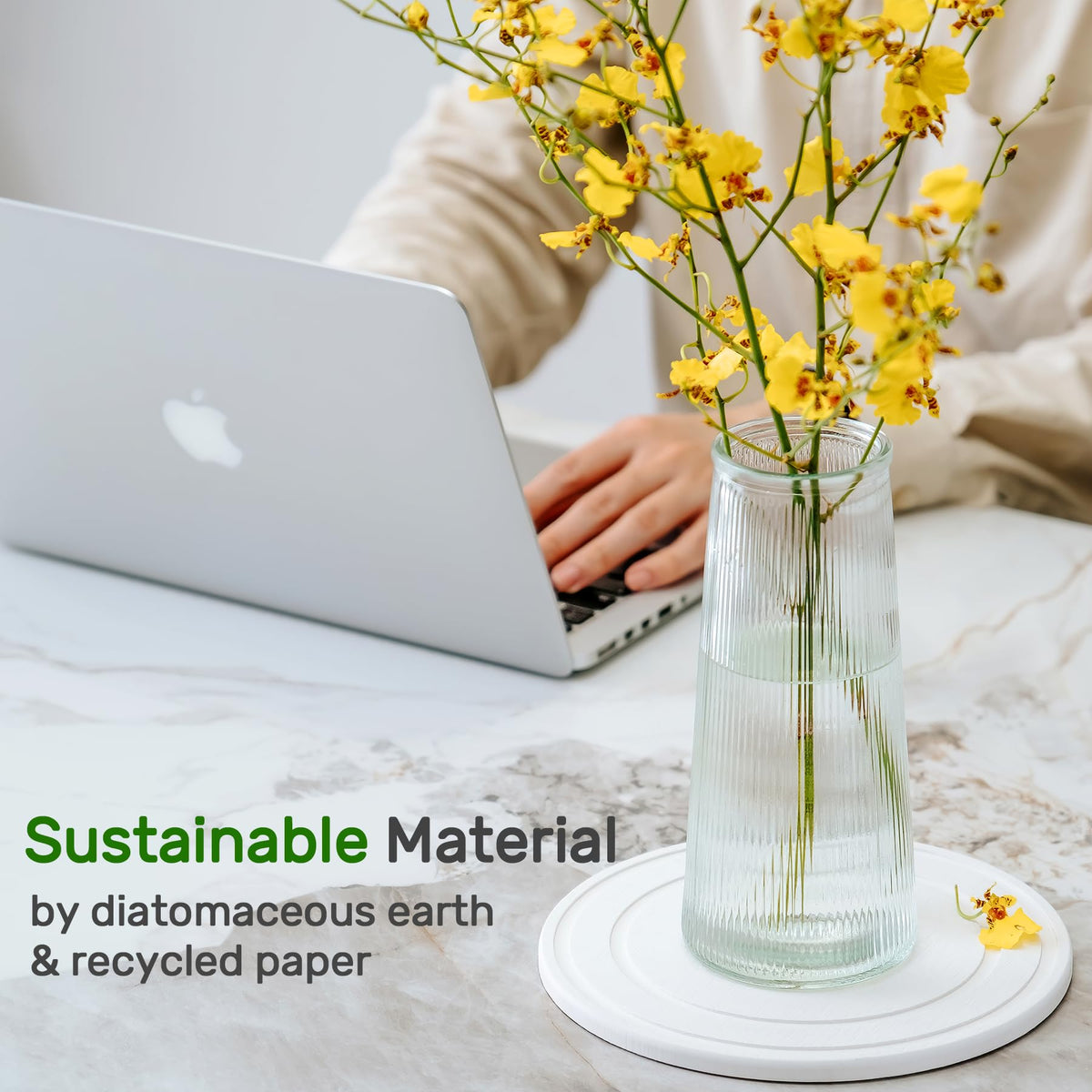 Relime eco-friendly planter tray made from natural diatomaceous earth and recycled cardboard