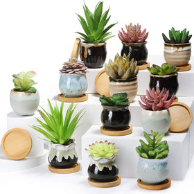 Remerry 18-pc succulent pots collection with drainage for healthy root growth and display