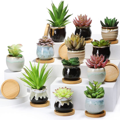 Remerry 18-pc succulent pots collection with drainage for healthy root growth and display