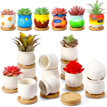 Remerry 18-pcs mini succulent pots with bamboo tray for organized display.