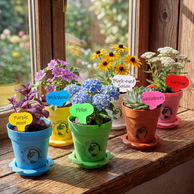 Remerry desktop mini pots arranged for a neat indoor display.