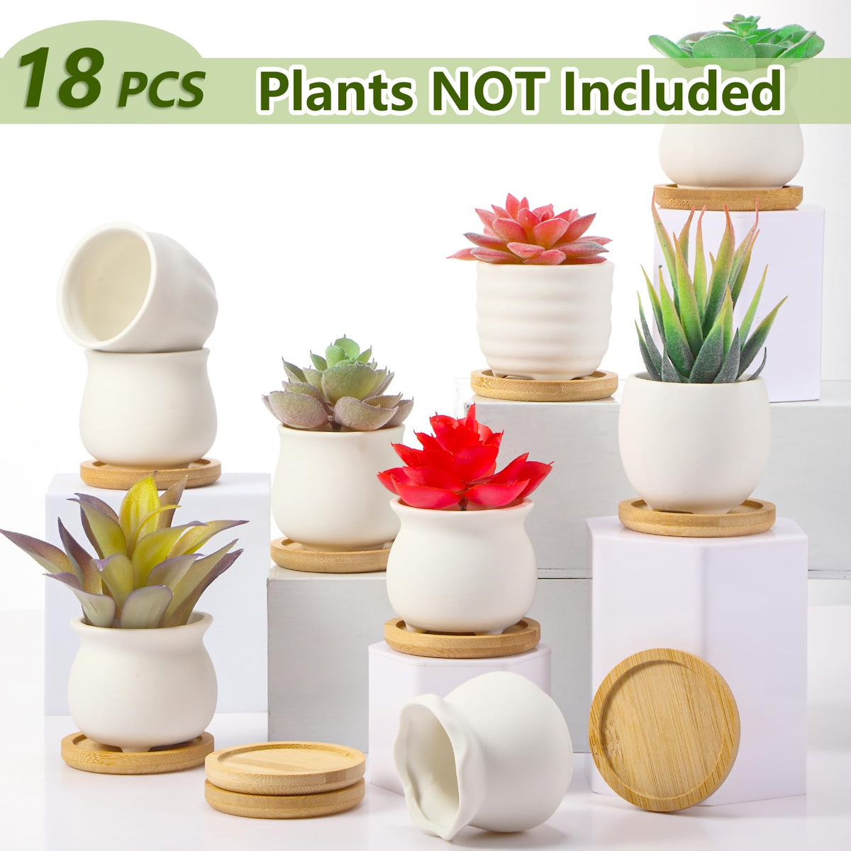 Remerry DIY-ready pots show a paintable clay surface for customization.