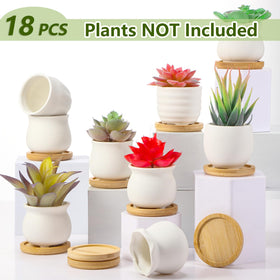 Remerry DIY-ready pots show a paintable clay surface for customization.