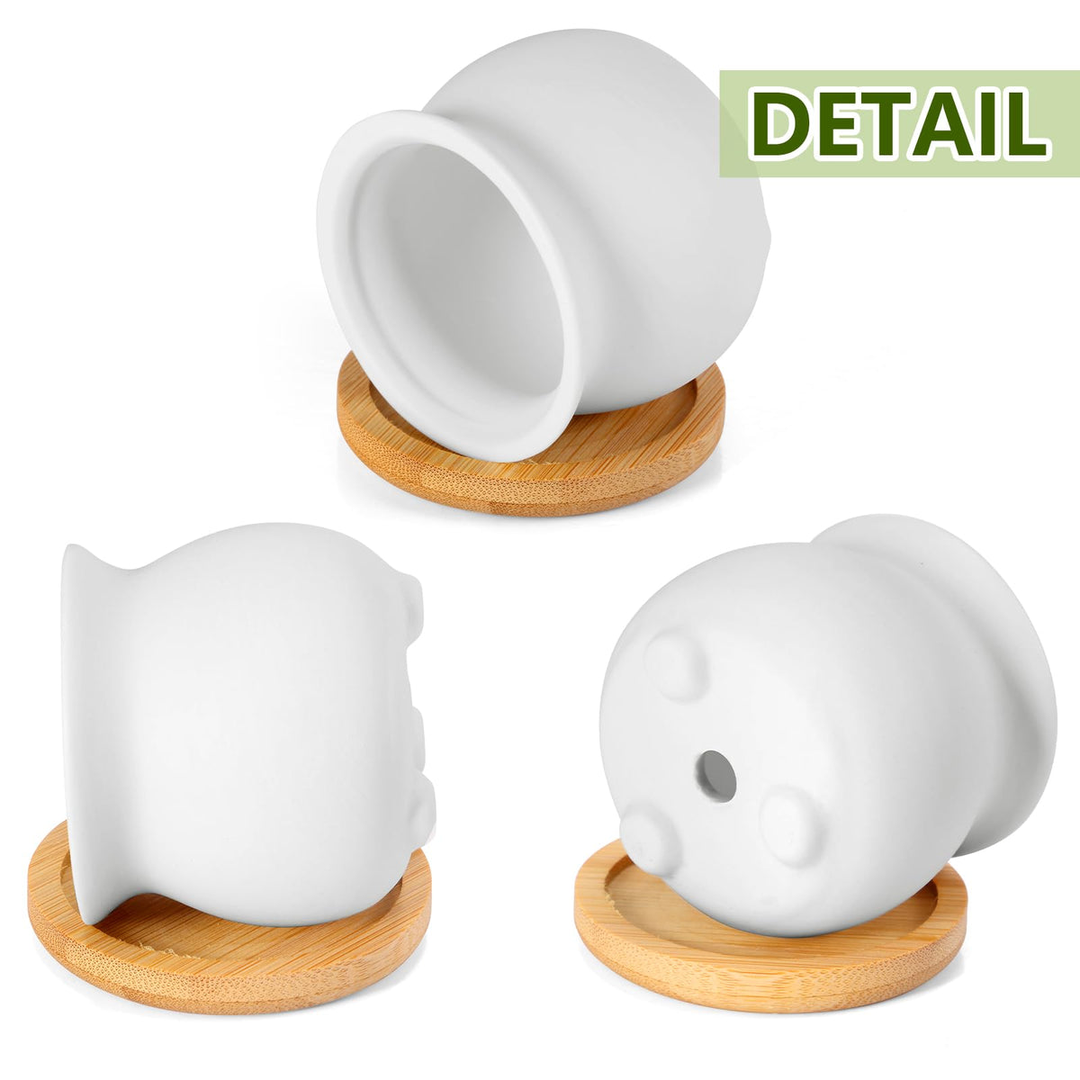 Remerry succulent pots on a desk add a lively decorative touch.