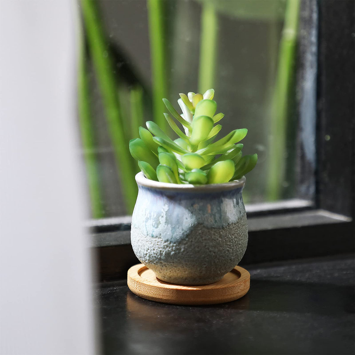 Remerry succulent pots shown on a sunny windowsill for a welcoming home vibe