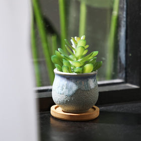 Remerry succulent pots shown on a sunny windowsill for a welcoming home vibe