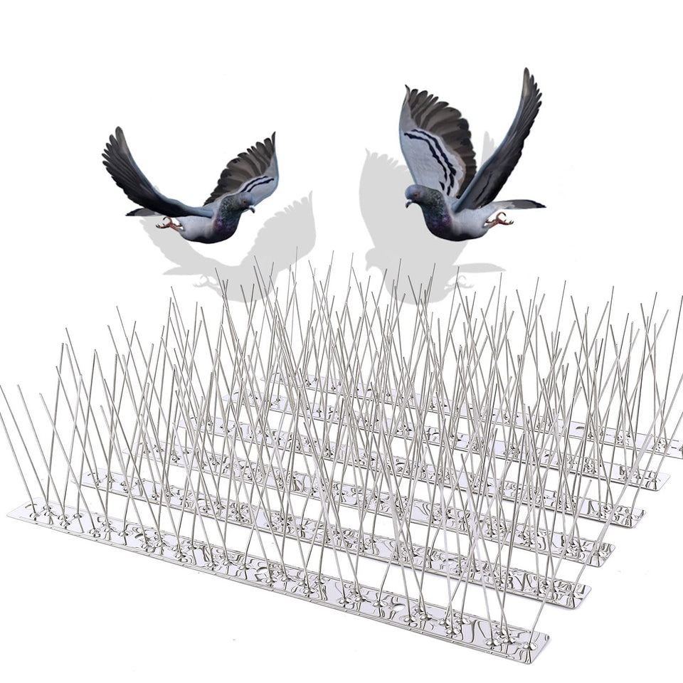 REMIAWY Bird Spikes on a ledge deter pigeons from perching