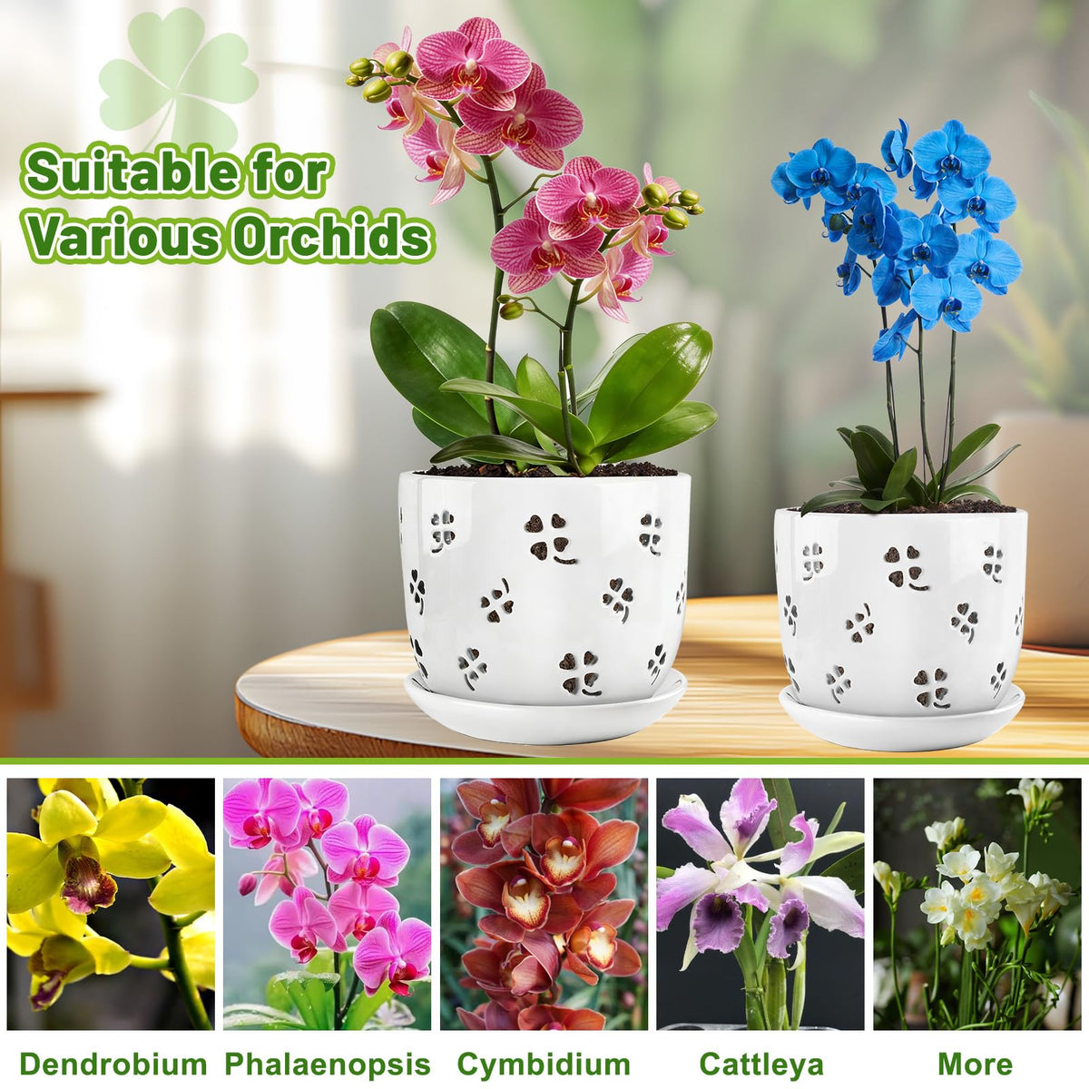 REMIAWY orchid pot close-up highlights glossy ceramic finish and clean edges.