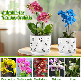 REMIAWY orchid pot close-up highlights glossy ceramic finish and clean edges.