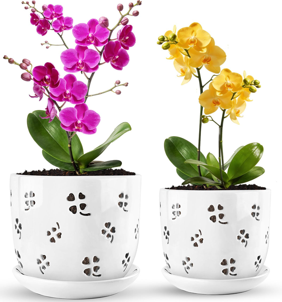 REMIAWY orchid pot with four-leaf cutout enhances indoor decor and airflow for healthy roots.
