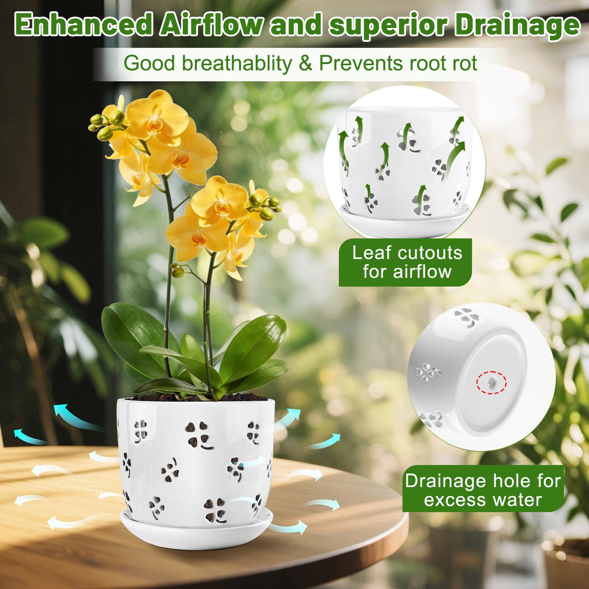 REMIAWY orchid pot shows sturdy ceramic construction for durable plant support.