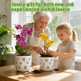 REMIAWY orchid pot two-pack set enables flexible, mixed plant arrangements.