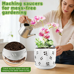 REMIAWY orchid pot demonstrates two practical sizes for orchids and small plants.
