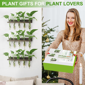 Renmxj gift ready propagation station for plant lovers and enthusiasts