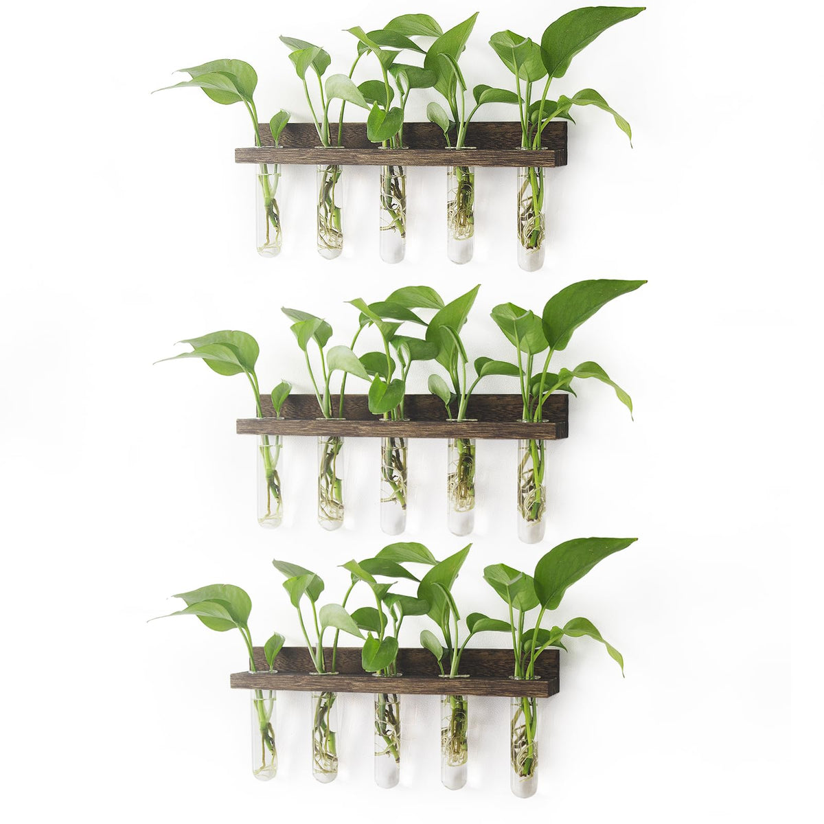 Renmxj propagation station 3 tier frame displaying plant cuttings for home decor