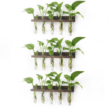 Renmxj propagation station 3 tier frame displaying plant cuttings for home decor