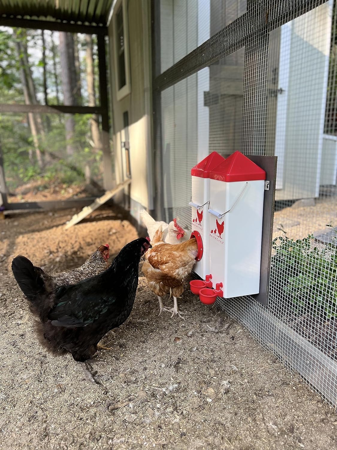 2-gallon waterer with auto-fill cups perched inside outdoor coop.