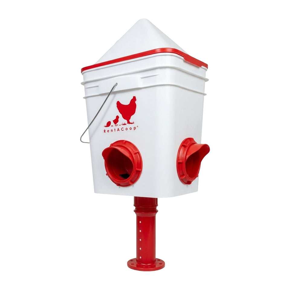 RentACoop 25lb feeder with four ports for simultaneous feeding
