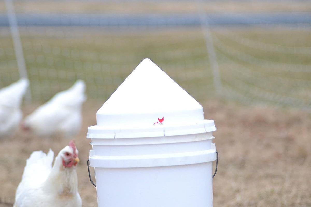 RentACoop anti-roost cone on round feeder prevents roosting and spills.