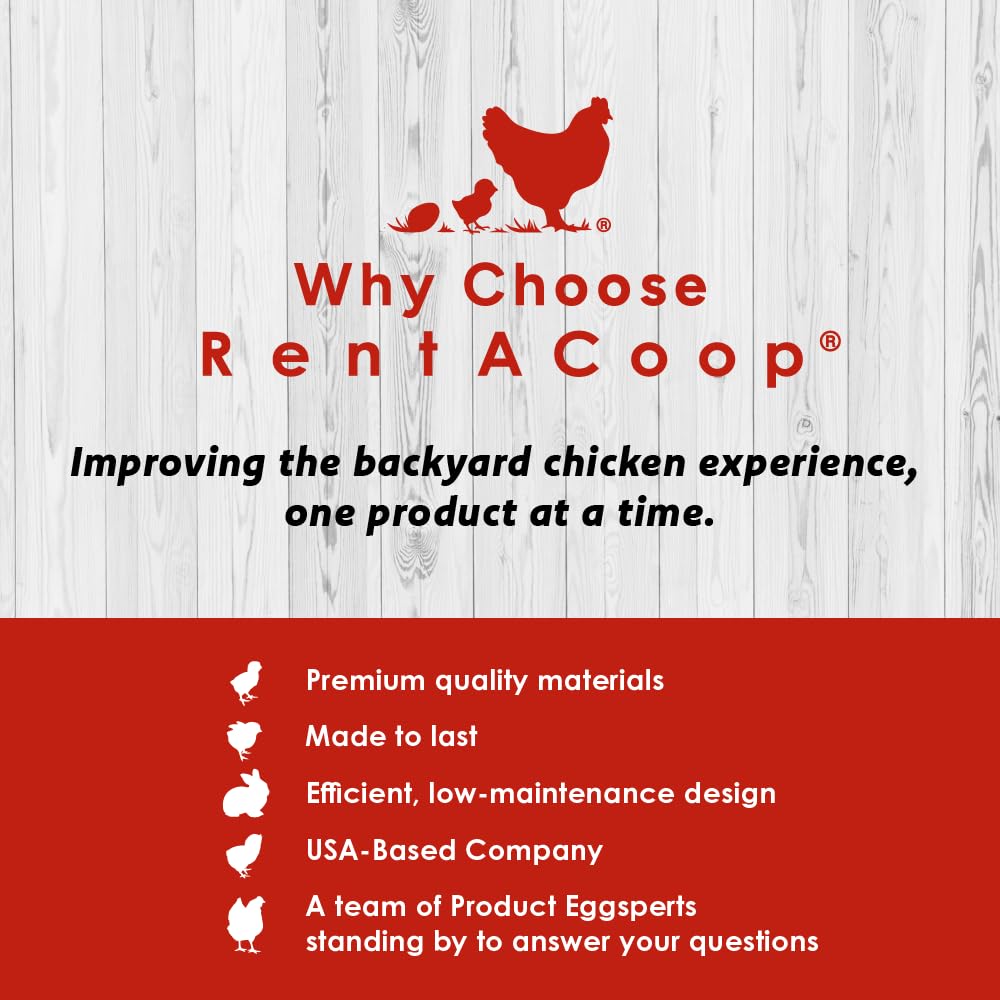 RentACoop Chick Swing box contents with swing, extra foot, and instructions