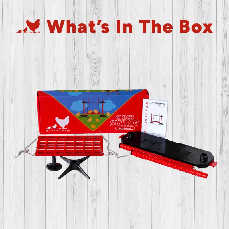 RentACoop Chick Swing height-adjustable platform adapts to growing chicks