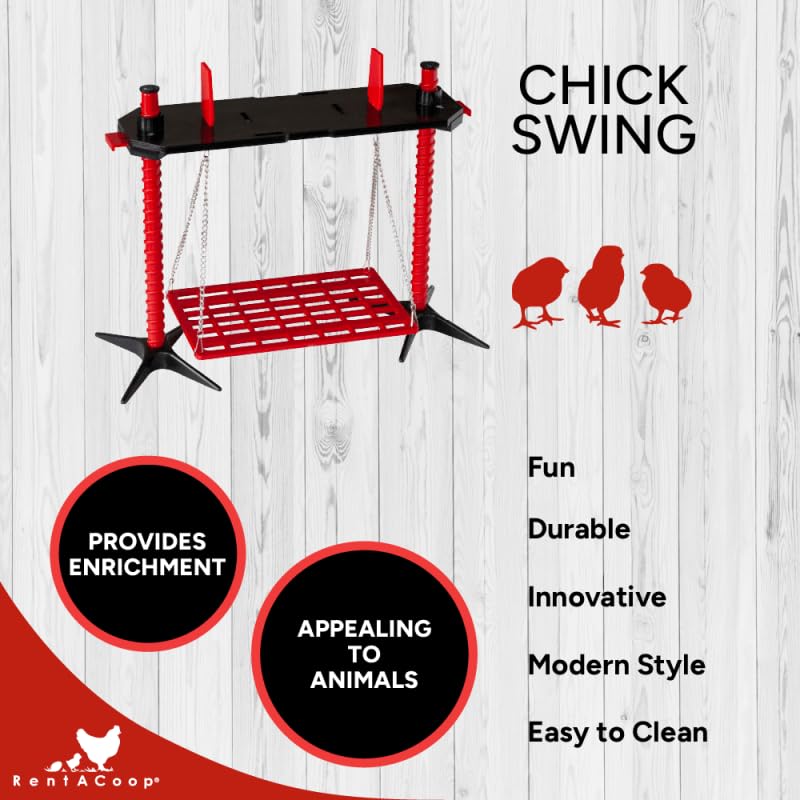 RentACoop Chick Swing wide stable feet supporting multiple chicks