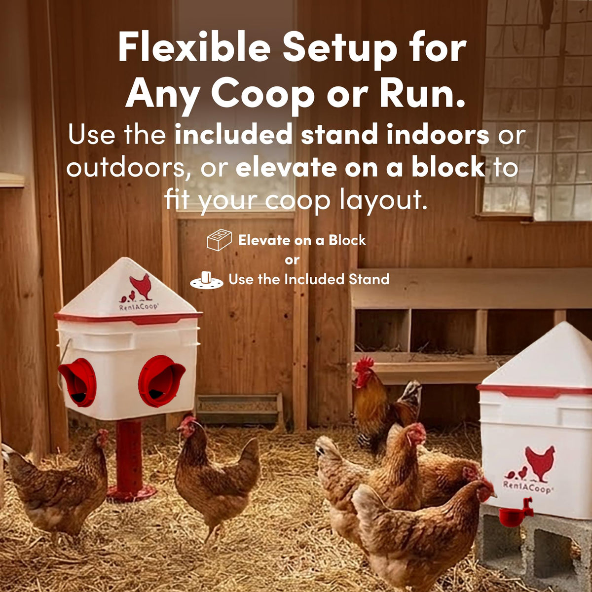 RentACoop Chick2Chicken auto-fill cups reveal easy refilling and consistent water levels