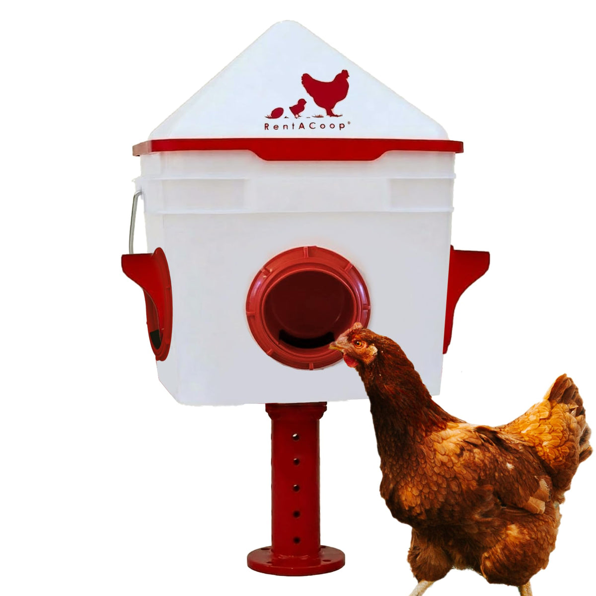 RentACoop Chick2Chicken feeder front view with four medium ports for easy chick access