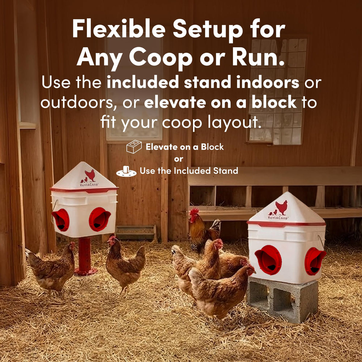 RentACoop Chick2Chicken four-port assembly enables versatile flock feeding