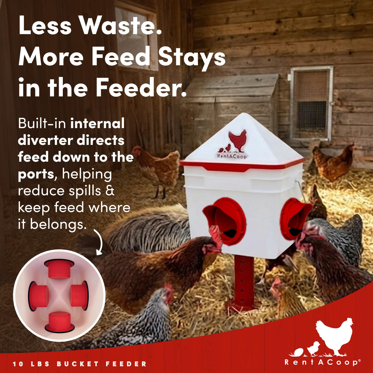RentACoop Chick2Chicken convenient outdoor installation with stakes