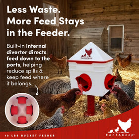 RentACoop Chick2Chicken convenient outdoor installation with stakes