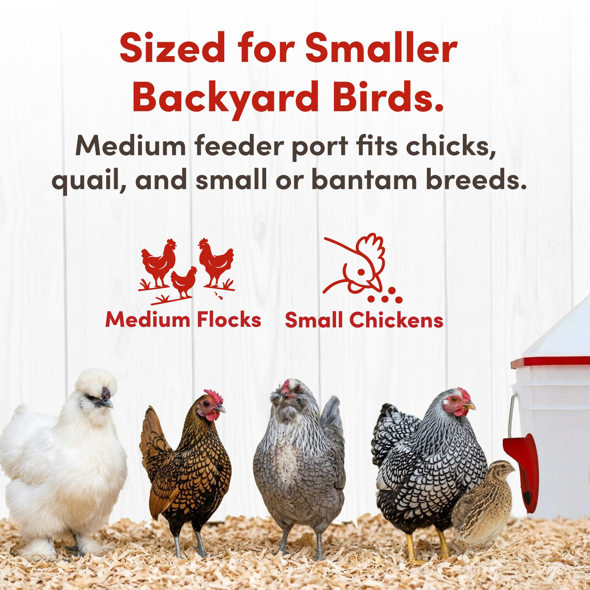 RentACoop Chick2Chicken adjustable stand enables indoor or outdoor installation