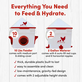 RentACoop Chick2Chicken waterer 2gal demonstrates clean water access for a small flock