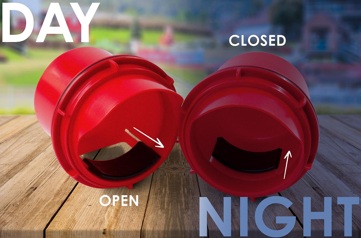RentACoop Chick2Chicken weatherproof ports work in all seasons.
