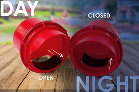 RentACoop Chick2Chicken weatherproof ports work in all seasons.