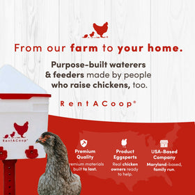 RentACoop corner-placement waterer in coop corner for space-saving setup
