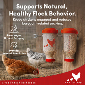 RentACoop durable enrichment feeder withstands daily coop use