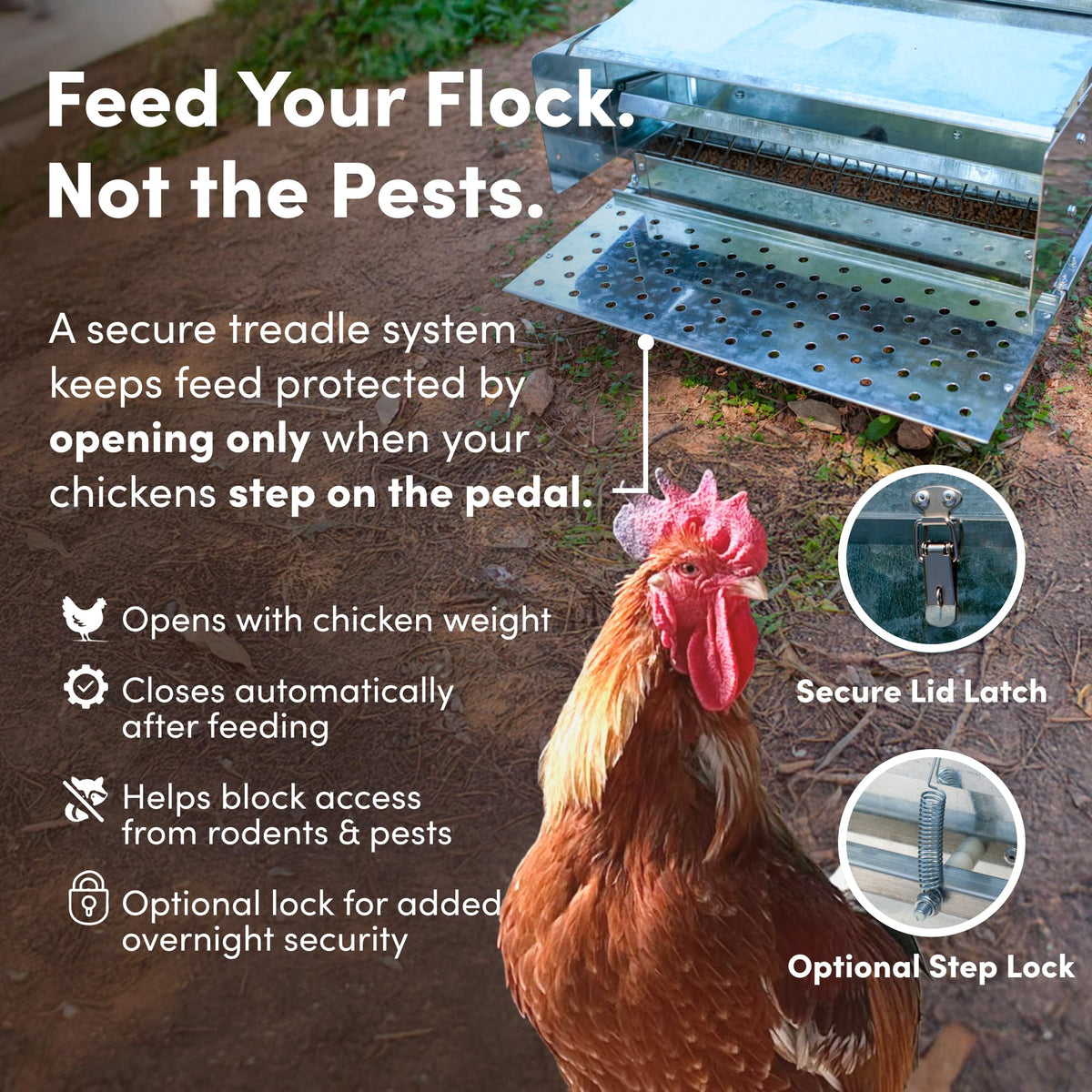 RentACoop rain cover protects feed from rain outdoors.