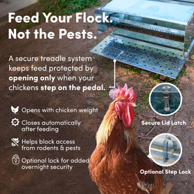 RentACoop rain cover protects feed from rain outdoors.