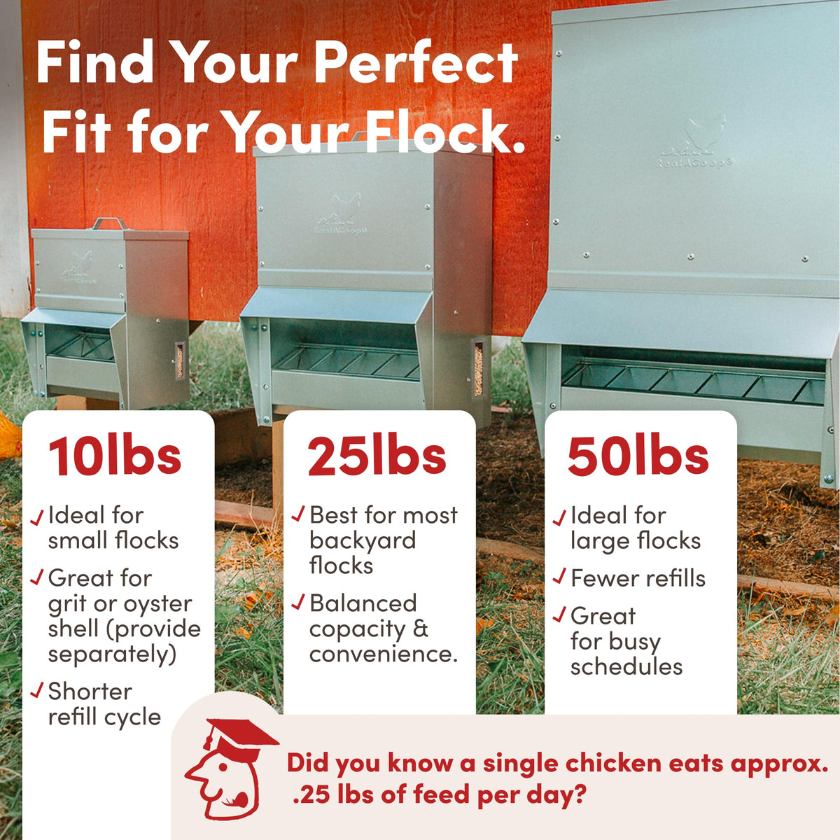 RentACoop gravity-fed design provides hands-free feeding for consistent flock access
