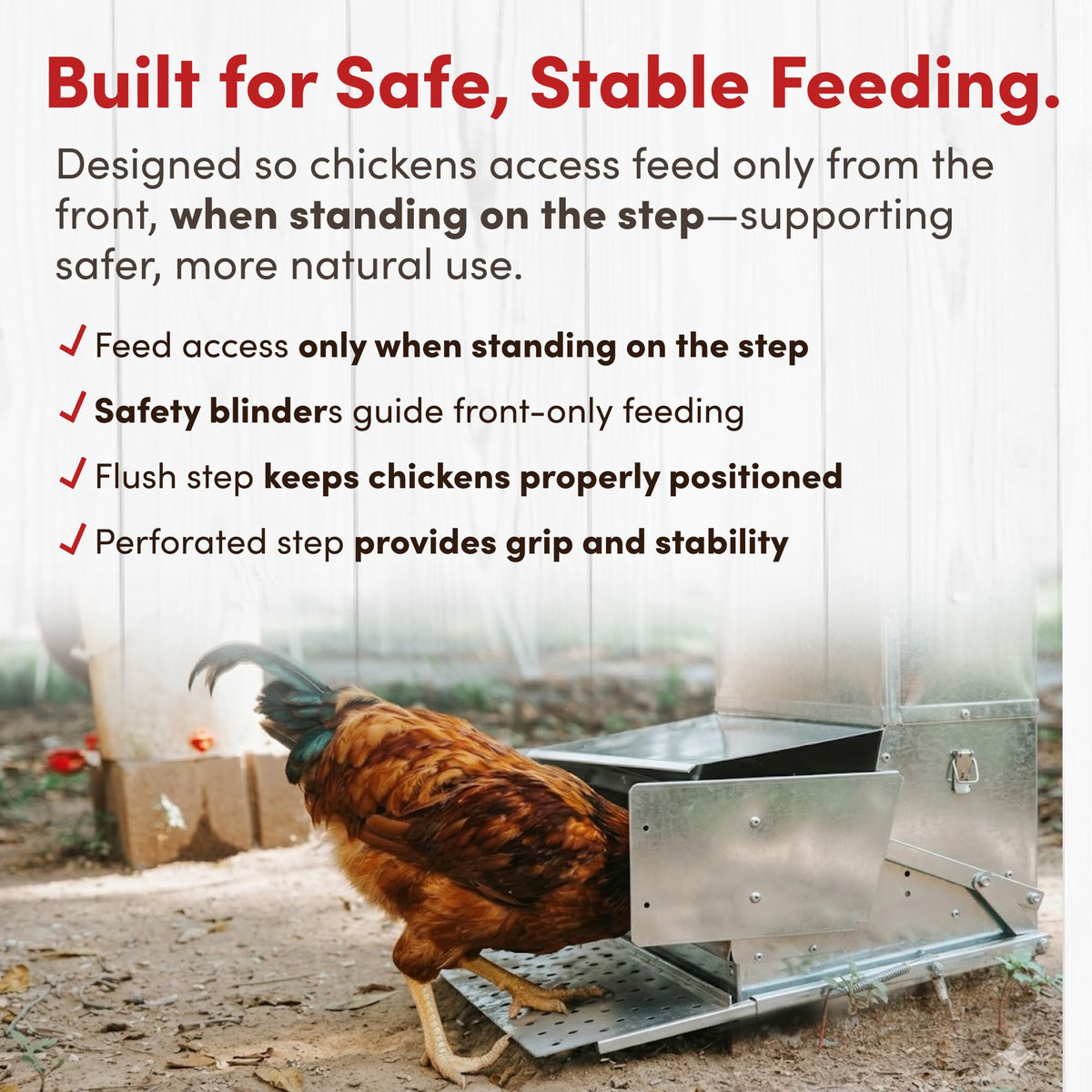 RentACoop lower-lid locks keep pests out.