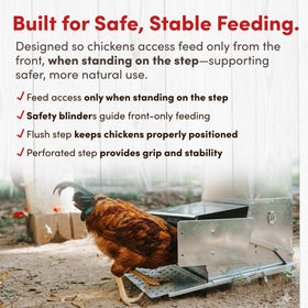 RentACoop lower-lid locks keep pests out.