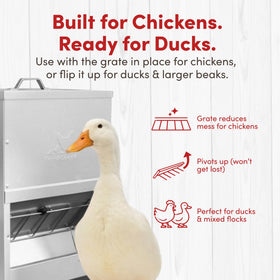 RentACoop moveable grate simplifies cleaning and accommodates larger birds