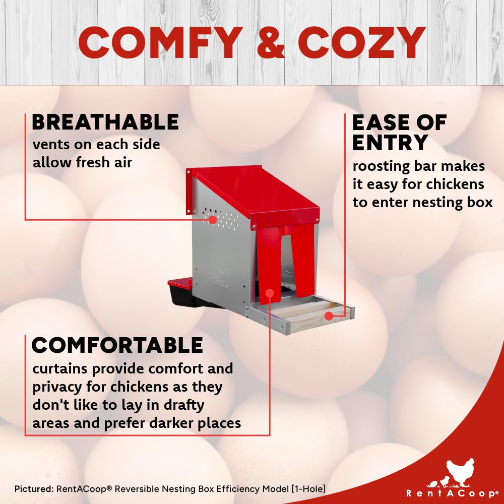 RentACoop Roll-Out Nesting Box with roll-out egg tray aiding clean collection.