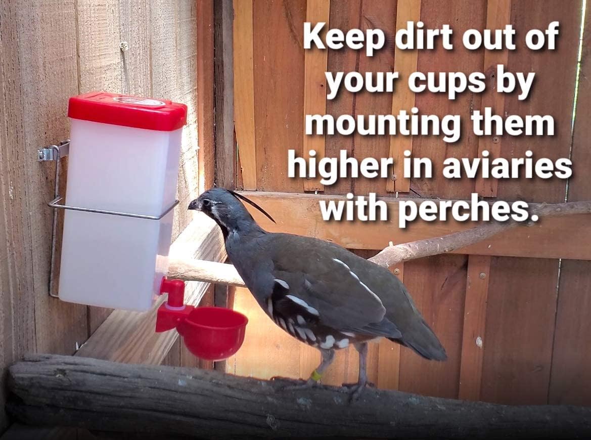 Indoor or outdoor installation for flexible bird care.
