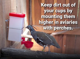 Indoor or outdoor installation for flexible bird care.