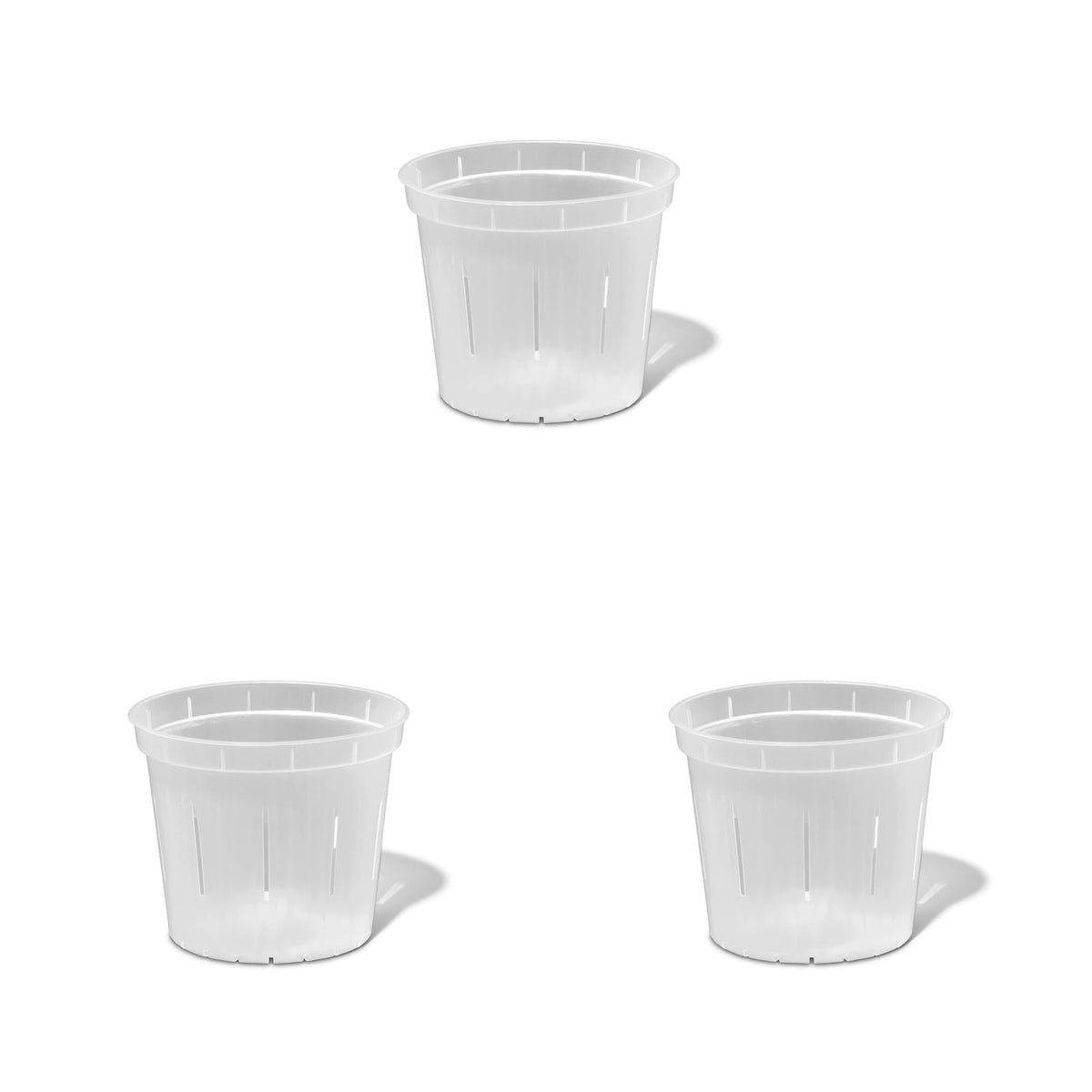 rePotme crystal-clear orchid pot shows root growth and health