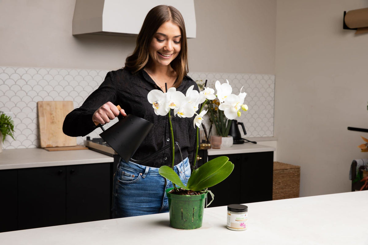 rePotme durable slotted pot withstands weather for outdoor use